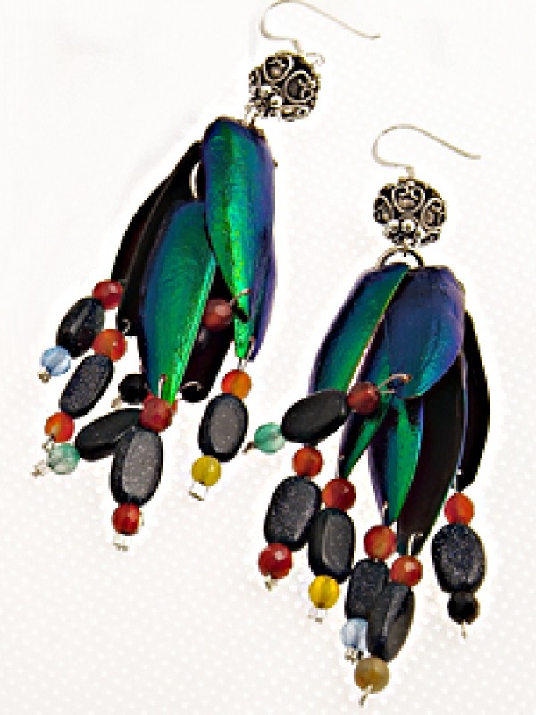 EBE 1 - Curio Beetle Things